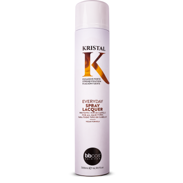 Everyday Spray Lacquer 500 ml